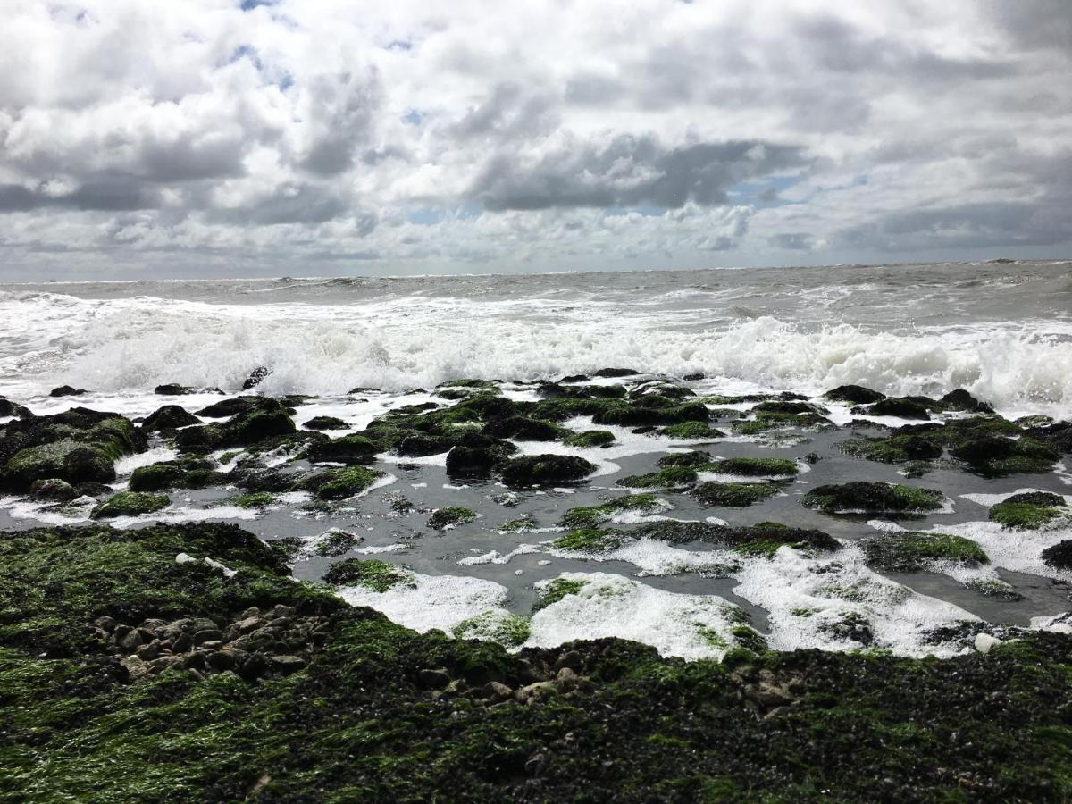 Fijne Studio Aan Zee 칼란트소그 외부 사진